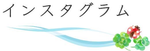 インスタグラム
